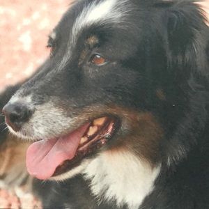 Meet your Posher, Keiko